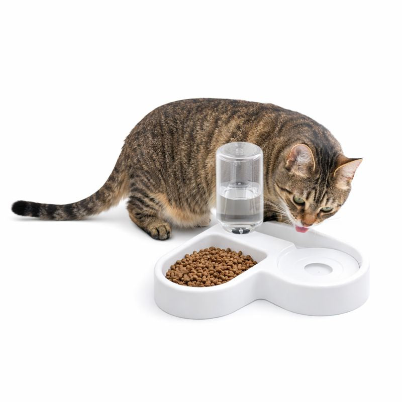 Automatic Drinking Pet Bowl