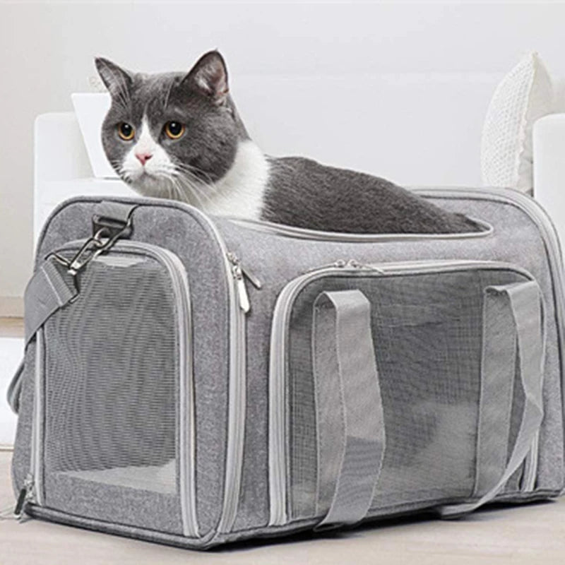 Foldable Soft Dog & Cat Travel Bag - Airline Approved