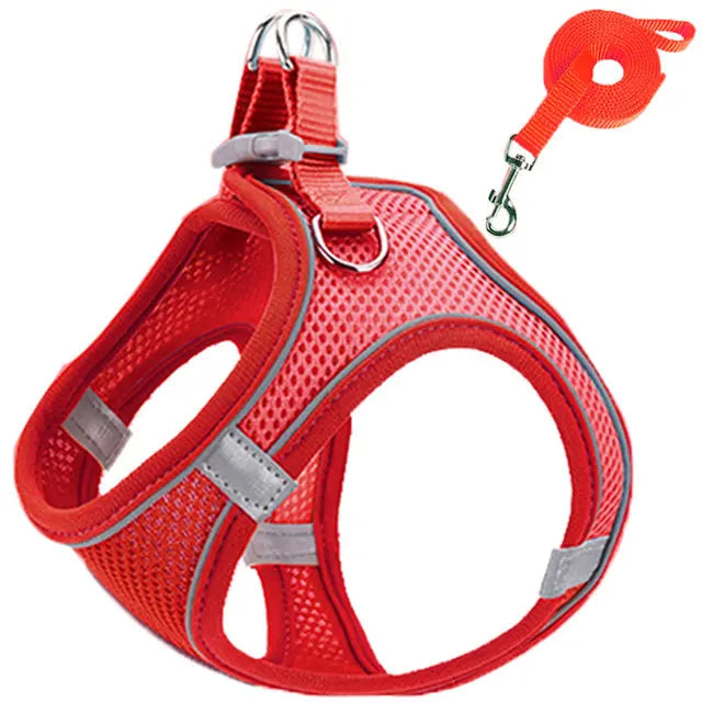 Cat Reflective Harness and Leash Set