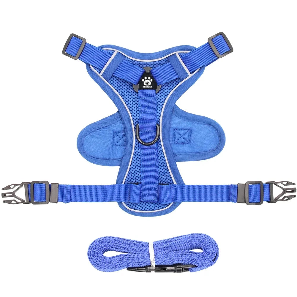 Reflective Cat Harness & Leash Set – Breathable Mesh, Adjustable Comfort Fit