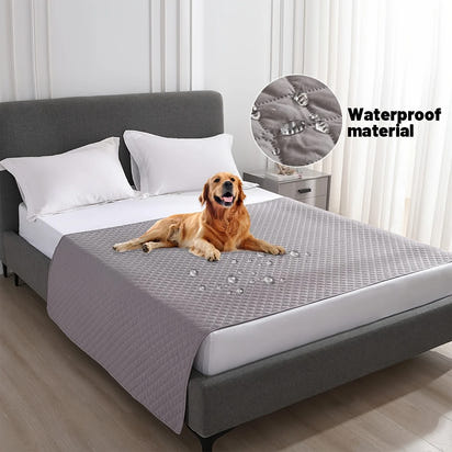 Premium Pet Protector Blanket