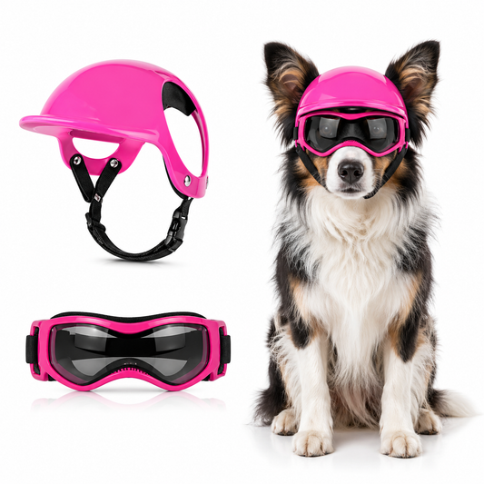 TFL Dog Helmet and Dog Goggles