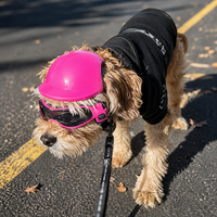 TFL Dog Helmet and Dog Goggles