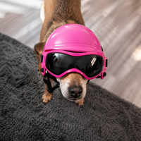 TFL Dog Helmet and Dog Goggles