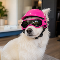 TFL Dog Helmet and Dog Goggles