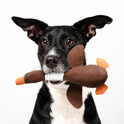 Durable Plush Goose Dog Toy