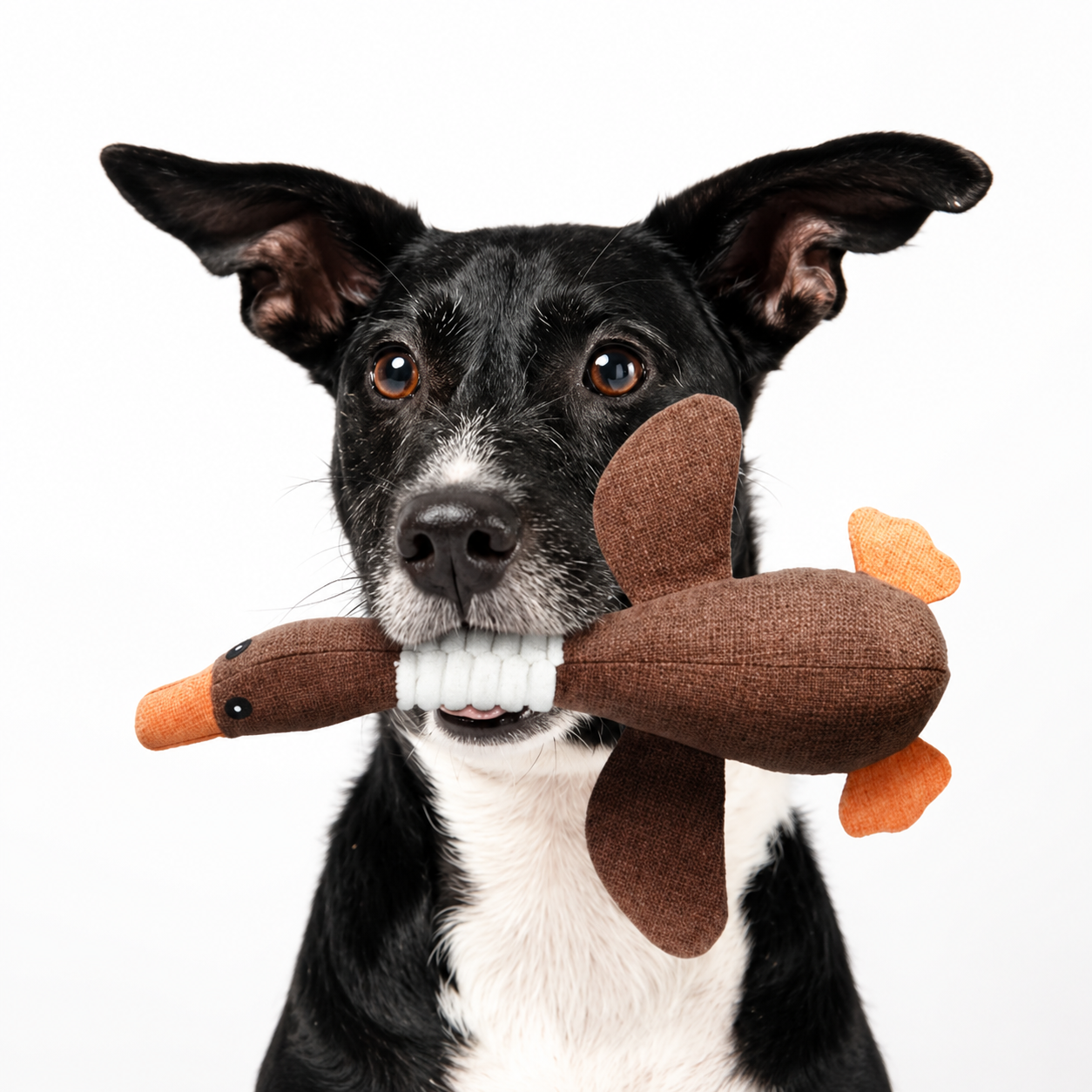 Durable Plush Goose Dog Toy