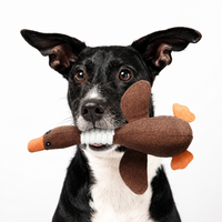 Durable Plush Goose Dog Toy