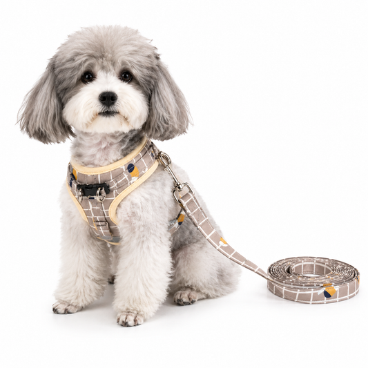 Plaid Reflective Dog Harness & Leash Set