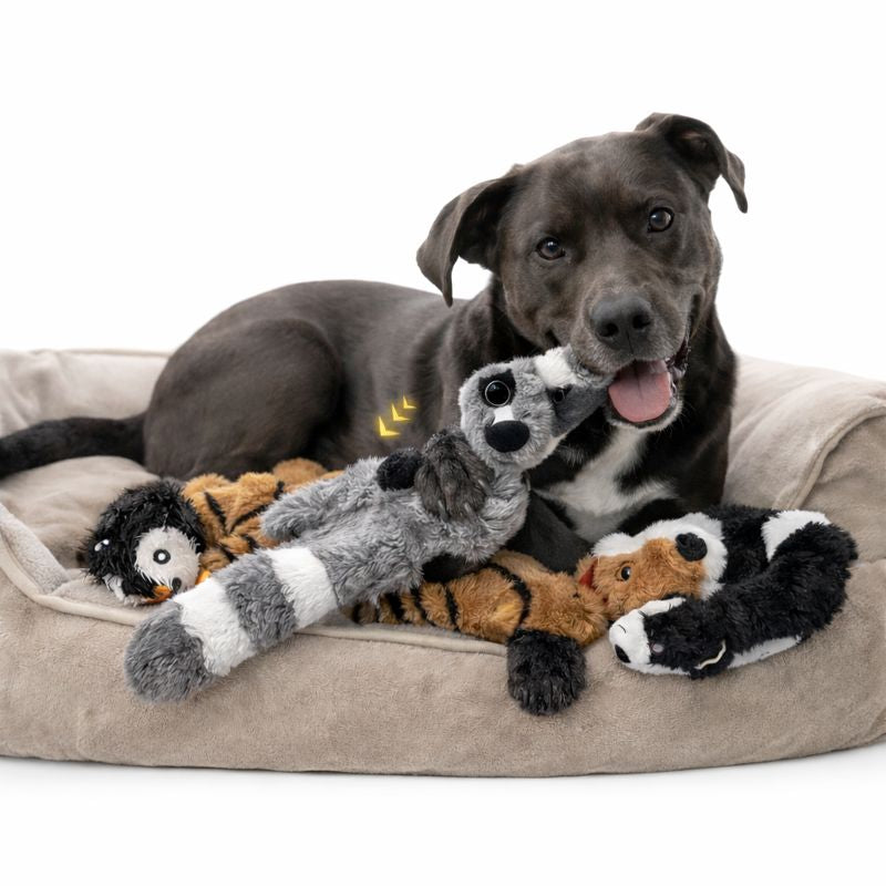 Plush Squeaky Dog Chew Crinkle Toy