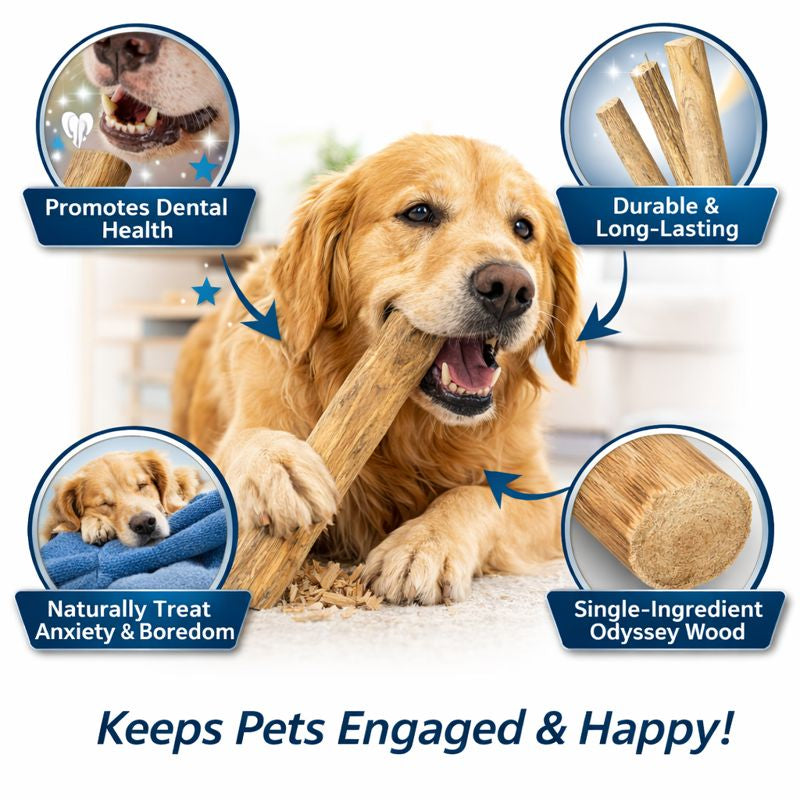 Dog Wooden Chew Stick Tooth Pressure Relief Toy