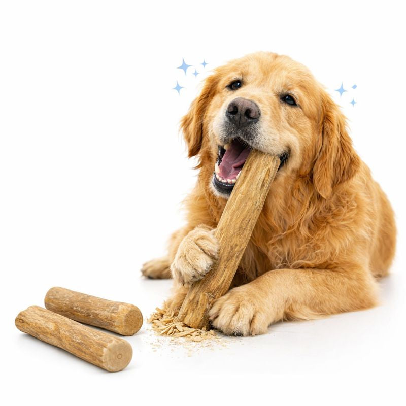 Dog Wooden Chew Stick Tooth Pressure Relief Toy