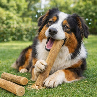 Dog Wooden Chew Stick Tooth Pressure Relief Toy