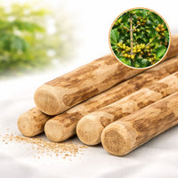 Dog Wooden Chew Stick Tooth Pressure Relief Toy