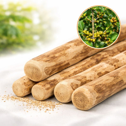 Dog Wooden Chew Stick Tooth Pressure Relief Toy