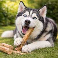 Dog Wooden Chew Stick Tooth Pressure Relief Toy