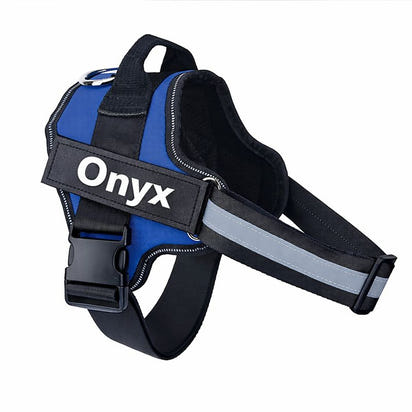 Custom No Pull Dog Harness