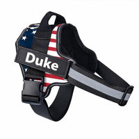Custom No Pull Dog Harness