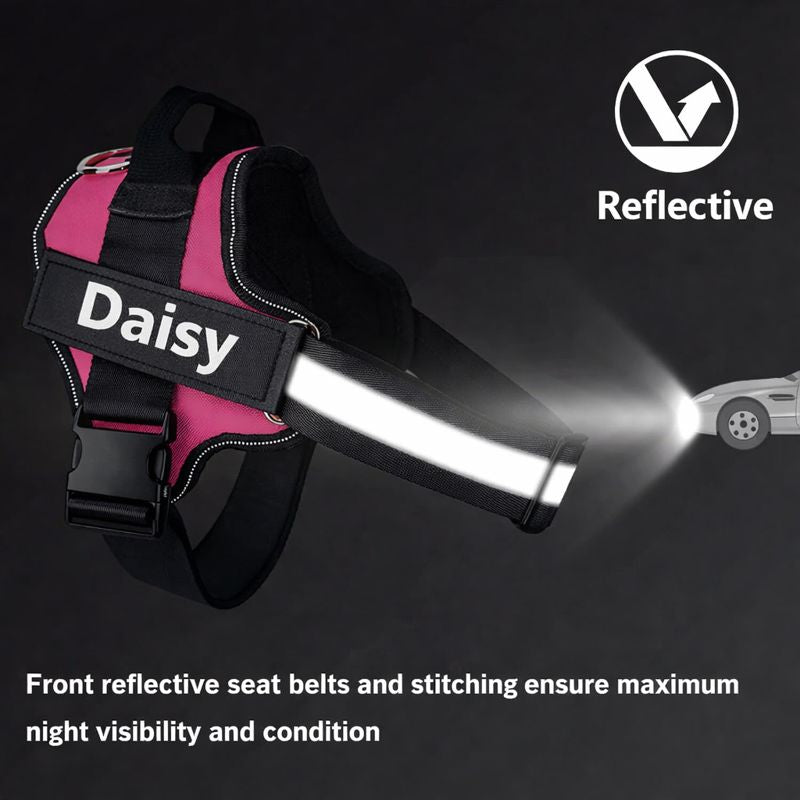 Custom No Pull Dog Harness