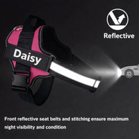 Custom No Pull Dog Harness