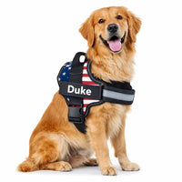 Custom No Pull Dog Harness