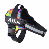 Custom No Pull Dog Harness