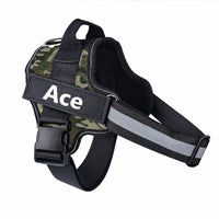 Custom No Pull Dog Harness