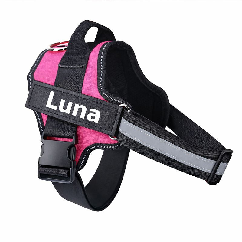 Custom No Pull Dog Harness