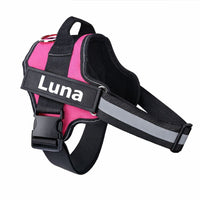 Custom No Pull Dog Harness