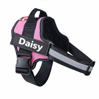 Custom No Pull Dog Harness