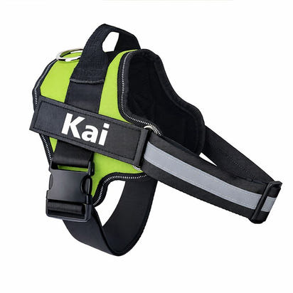 Custom No Pull Dog Harness