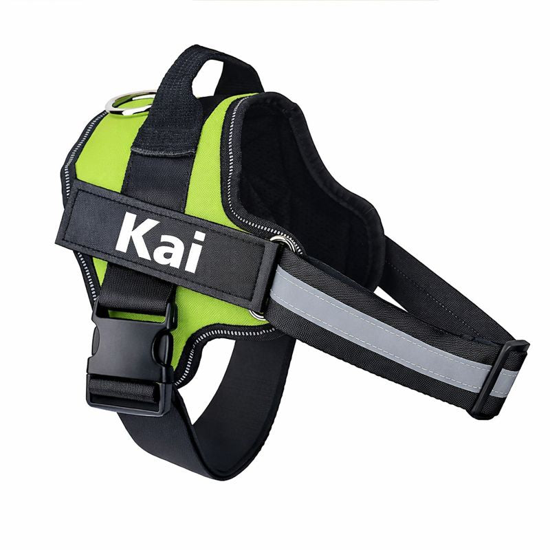 Custom No Pull Dog Harness