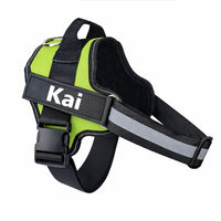 Custom No Pull Dog Harness