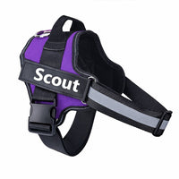 Custom No Pull Dog Harness