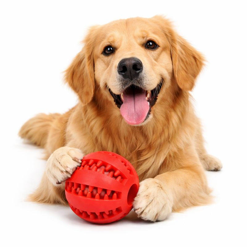 Dog Chewing Interactive Rubber Ball Toy