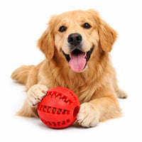 Dog Chewing Interactive Rubber Ball Toy