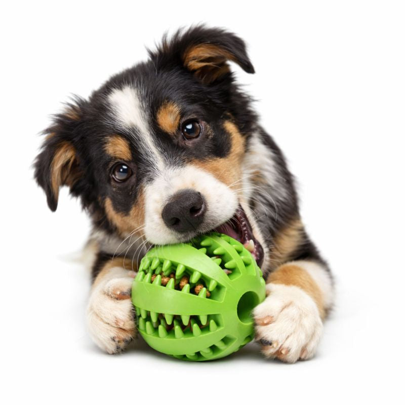 Dog Chewing Interactive Rubber Ball Toy