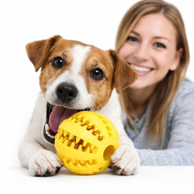 Dog Chewing Interactive Rubber Ball Toy