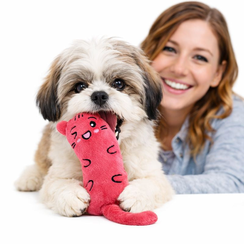 Dog Chew Bite Rope Pet Toys