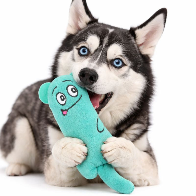 Dog Chew Bite Rope Pet Toys