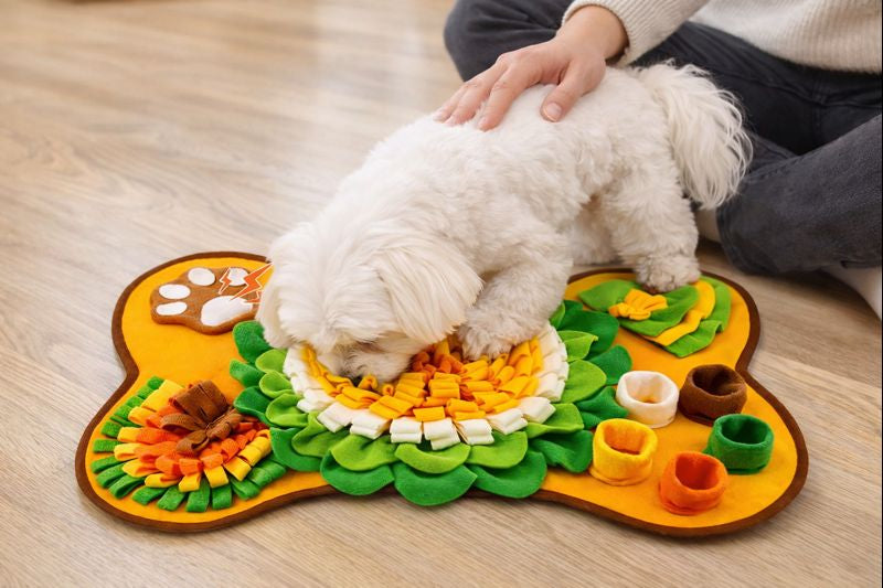 Pet Training and Stress Relief Sniff Feeding Mat