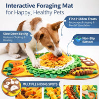 Pet Training and Stress Relief Sniff Feeding Mat