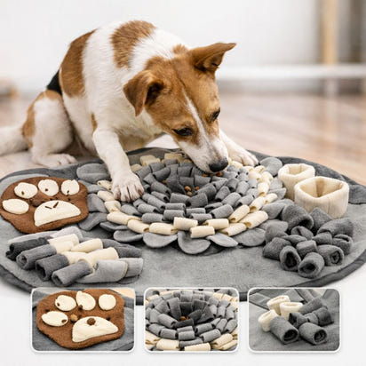 Pet Training and Stress Relief Sniff Feeding Mat