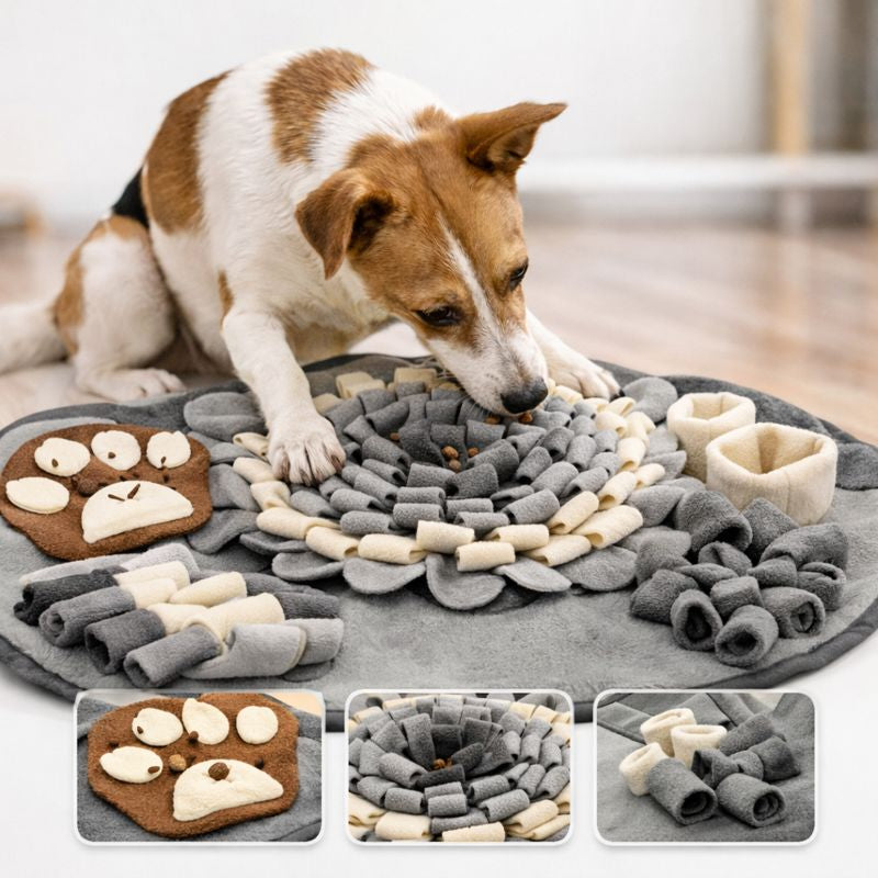 Pet Training and Stress Relief Sniff Feeding Mat