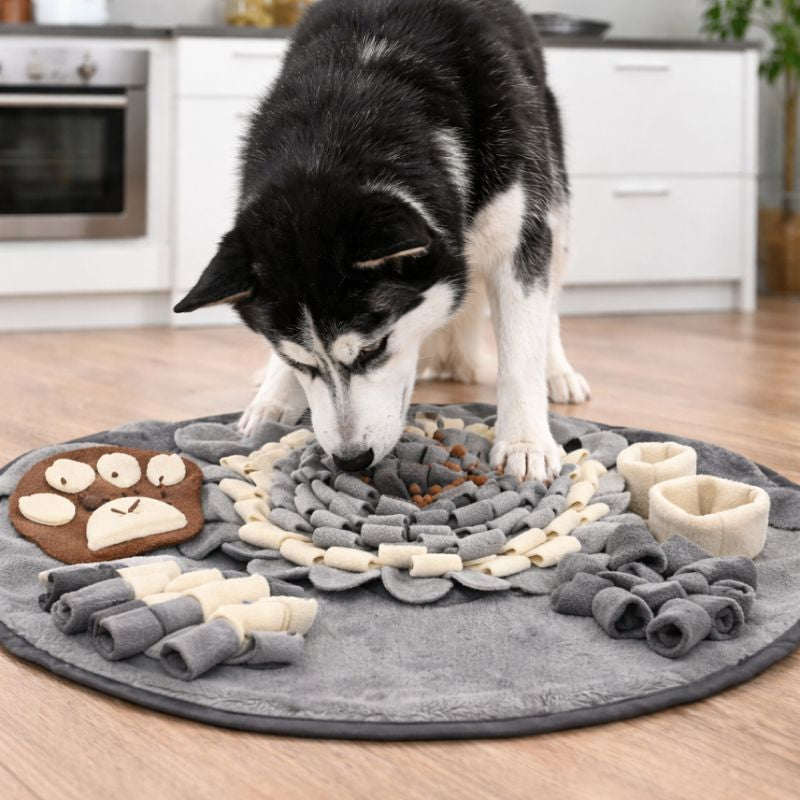 Pet Training and Stress Relief Sniff Feeding Mat