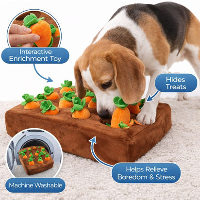 Anxiety Relief Dog Snuffle Mat Puzzle Toy