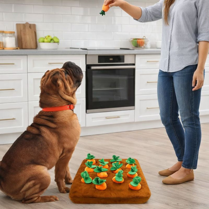 Anxiety Relief Dog Snuffle Mat Puzzle Toy