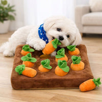 Anxiety Relief Dog Snuffle Mat Puzzle Toy