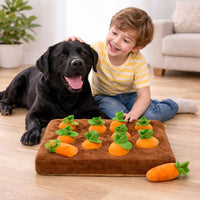 Anxiety Relief Dog Snuffle Mat Puzzle Toy