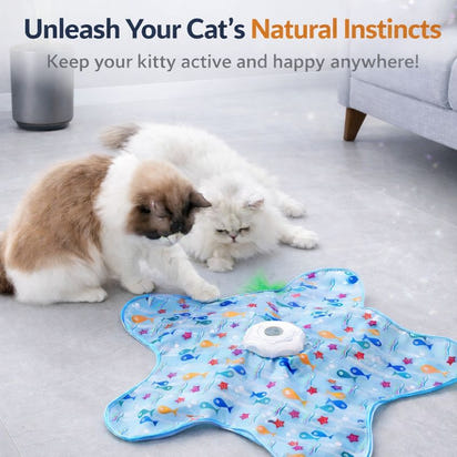 Interactive Hide and Seek Cat Toy